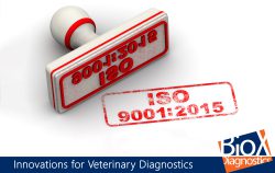 BioX ISO 9001 2015